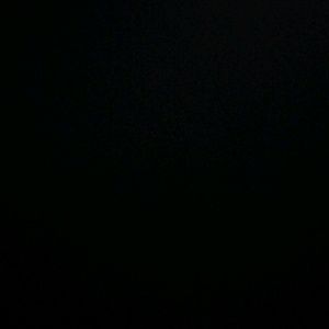 Meet your Posher, Ann